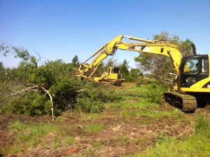 Denton Land Clearing